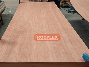 Plywood 8 By 4 Good User Reputation for China 3mm 12mm 18mm 21mm Laminated Plywood Price