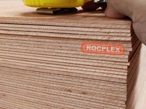 Reasonable Plywood Cheapest Price for China High Quanlity Furniture Used Door Skin Plywood at Cheapest Price