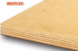 Birch Plywood 2440 x 1220 x 18mm CD Grade ( Common: 3/4 in. x 4ft. x 8ft. Birch Project Panel )