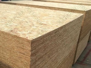 Quality Inspection for China Particle Board/OSB2/OSB3 for Building Material/Furniture Hot Sale Price