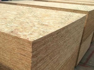 China OSB Hot Selling for China 1220*2440mm Poplar Slotted OSB with Tongue and Groove