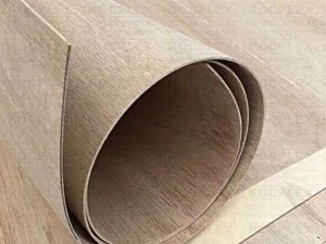 Bending Plywood Reliable Supplier China 1220*2440mm 3mm 6mm 9mm Bendable Flexible Plywood