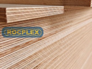 Birch Plywood Supplier OEM/ODM China Good Future One Time Hot Pressing Poplar / Bintangor / Birch Commercial Plywood