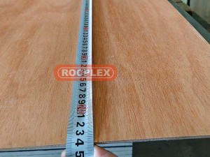 F22 Bracing Plywood Low price for China Brace Ply 4mm CD BC Grade