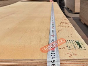 Competitive Price for China F22 H2s 4mm Bracing Plywood for Australian Market