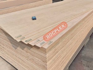 Bracing Plywood China Supplier China Wall Bracing Plywood F22 for Roof Bracing and Sub Flooring