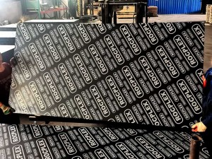 Quality Inspection for China Competitive Price 18mm WBP Phenolic Glue Concrete Formwork / Marine Plywood Construction Black Film Faced Plywood