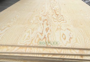 CDX Pine Plywood 2440 x 1220 x 9mm CDX Grade Ply ( Common: 11/32 in. 4 ft. x 8 ft. CDX Project Panel )
