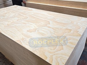 CDX Plywood Supplier Hot sale Factory Pine Plywood Concrete Plywood CD Grade CDX Pine Plywood for America