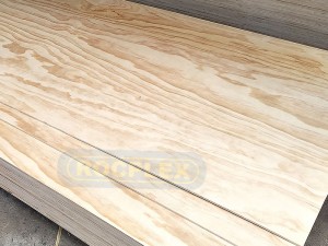 CDX Plywood Sheets Factory Free sample 1220*2440mm Best Price Radiate Pine CDX Board Panel