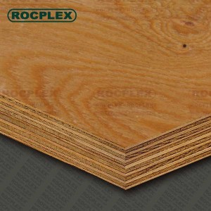 Structural Plywood Sheets 2400 x 1200 x 19mm CD Grade ( For structural Use Ply 19mm ) | SENSO